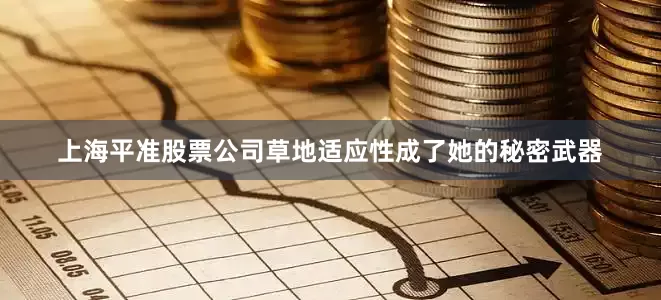 上海平准股票公司草地适应性成了她的秘密武器