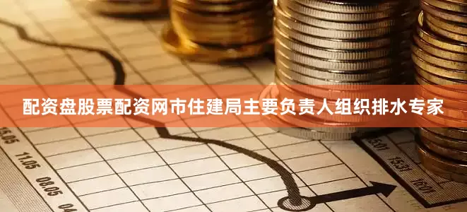 配资盘股票配资网市住建局主要负责人组织排水专家