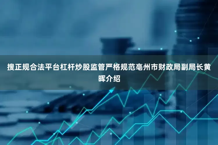 搜正规合法平台杠杆炒股监管严格规范亳州市财政局副局长黄晖介绍