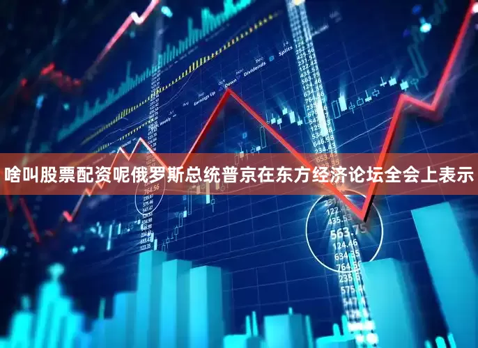 啥叫股票配资呢俄罗斯总统普京在东方经济论坛全会上表示