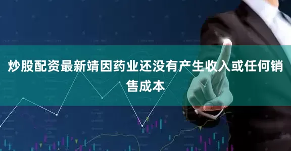 炒股配资最新靖因药业还没有产生收入或任何销售成本