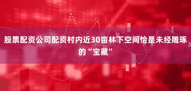 股票配资公司配资村内近30亩林下空间恰是未经雕琢的“宝藏”
