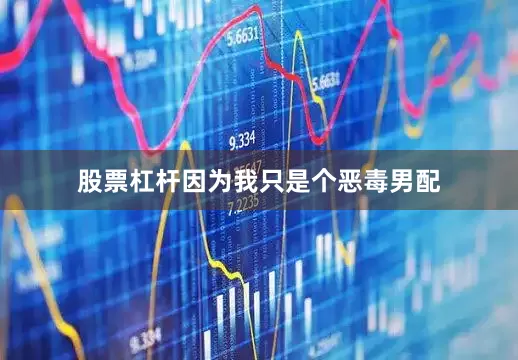 股票杠杆因为我只是个恶毒男配