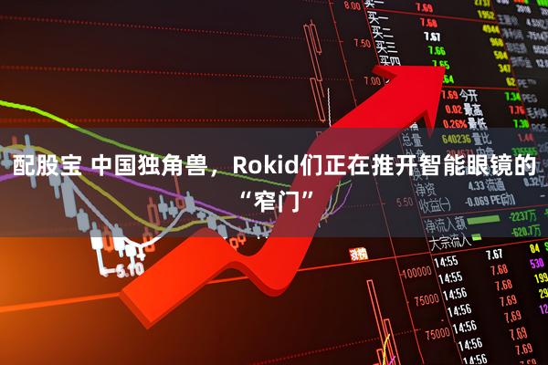 配股宝 中国独角兽，Rokid们正在推开智能眼镜的“窄门”