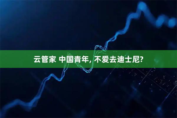 云管家 中国青年, 不爱去迪士尼?